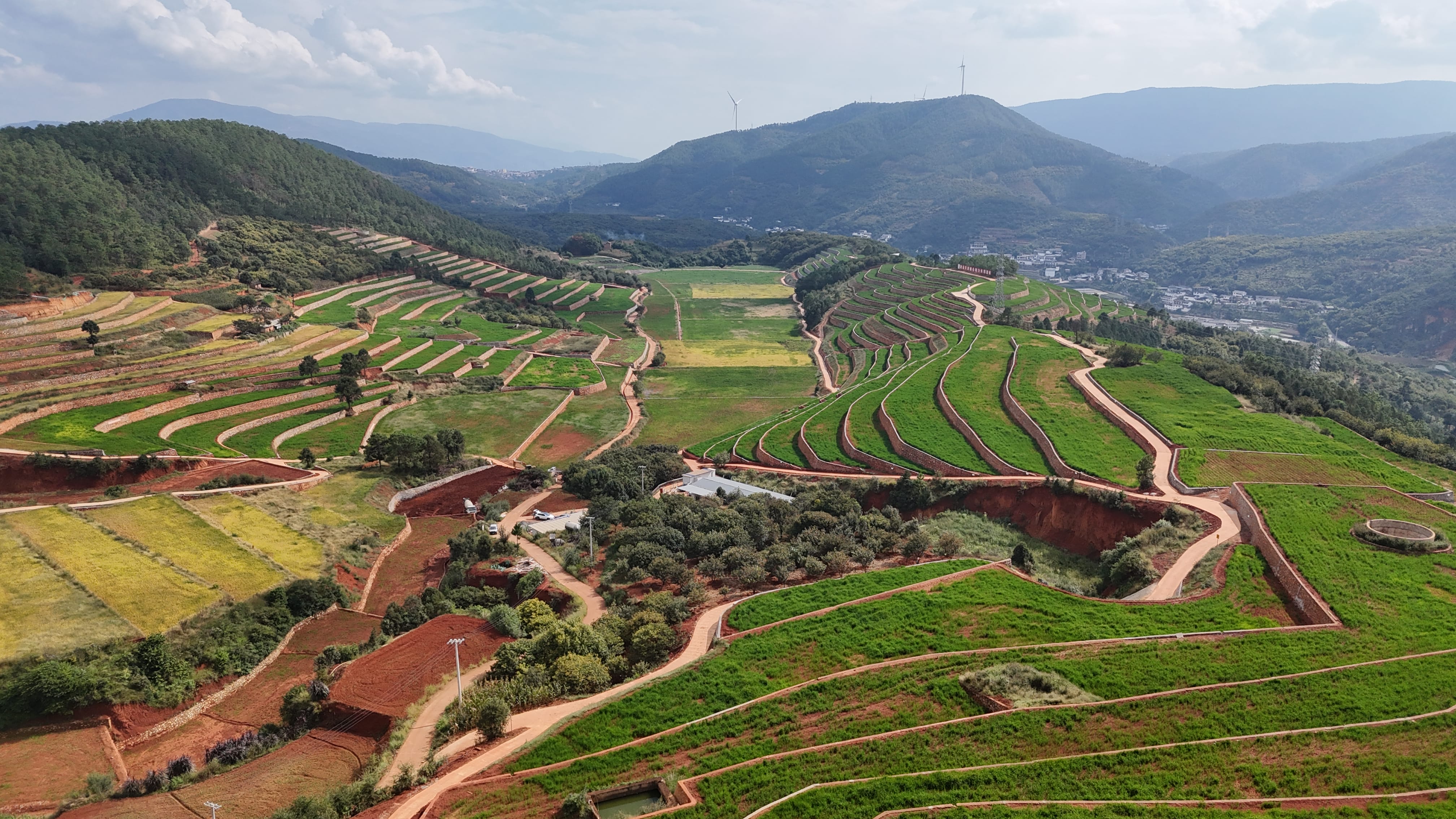 ��ʱ���� ��Ϊ���Ż���ƪح���������Ĵ���������Ʒչ���壩