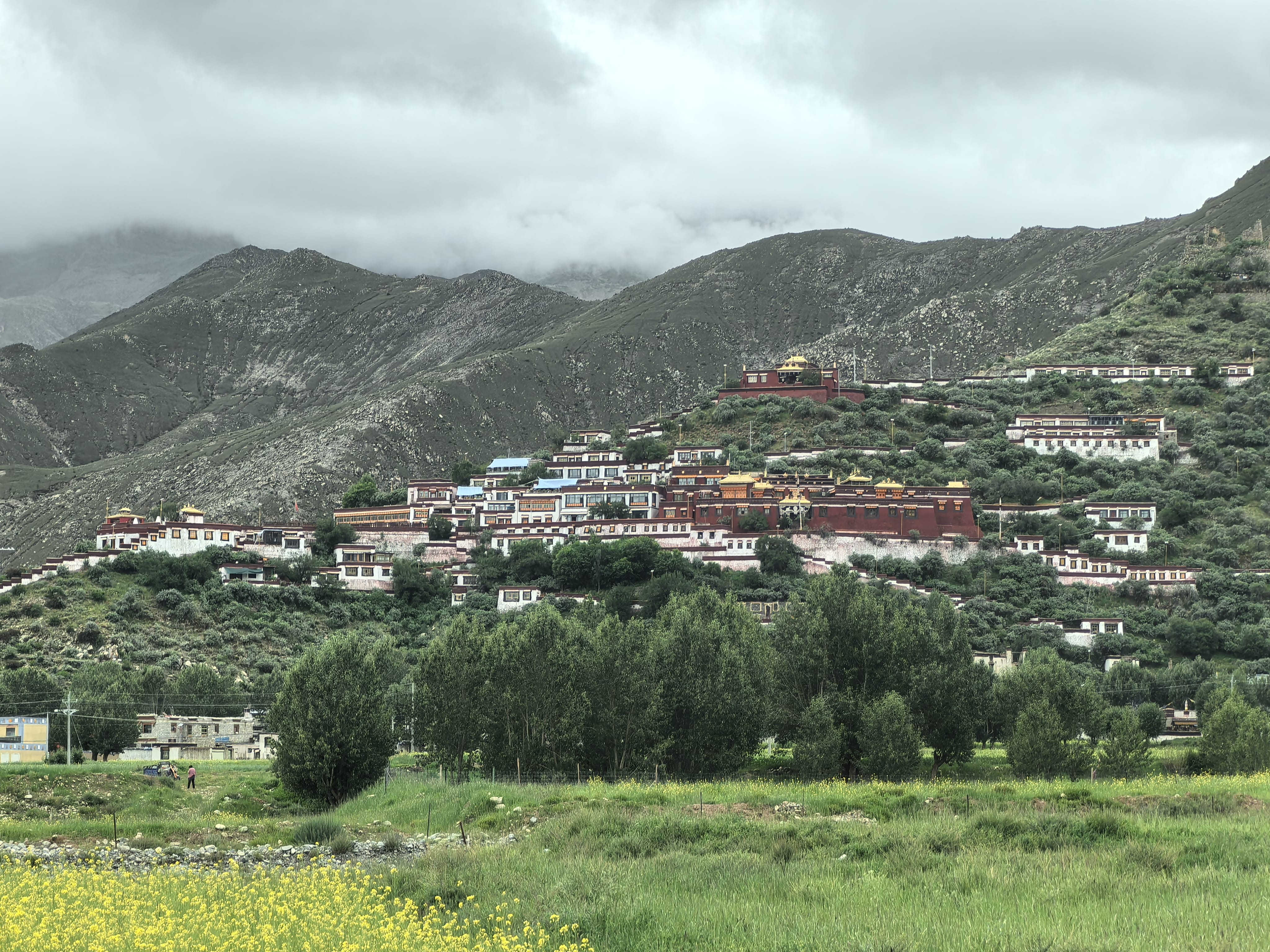 ��ʱ���� ��Ϊ���Ż���ƪح���������Ĵ���������Ʒչ���ˣ�