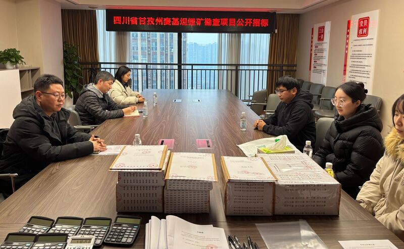 �鶨ս�����Ż�Ч�͡�����תЧ�͹�˾�в�ҵ���������