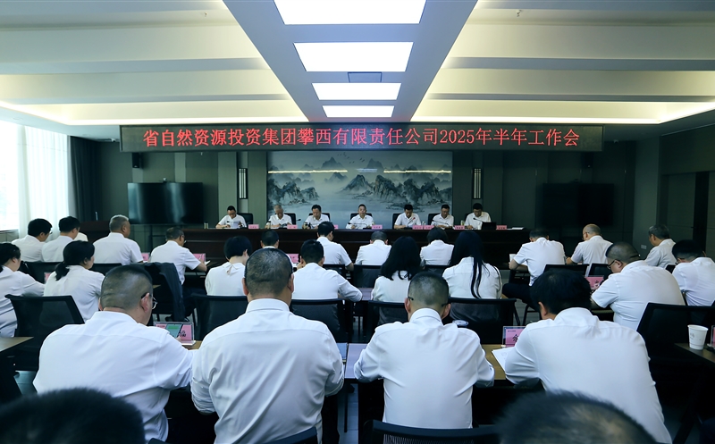 ������˾�ٿ�2025����������