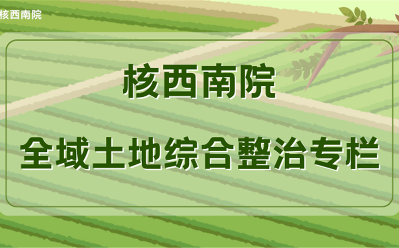 �Ӽ����������ߡ�����塰�ƻ��ˡ��������굳Ա�����ٵļ���֮·