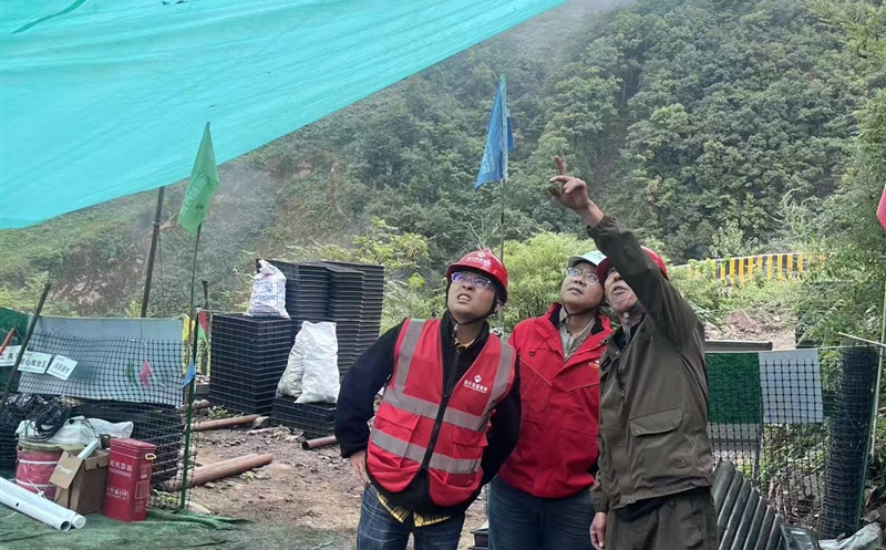��˳��ҵ�쵼���߷���Ŀ��չ��ǰ�����������