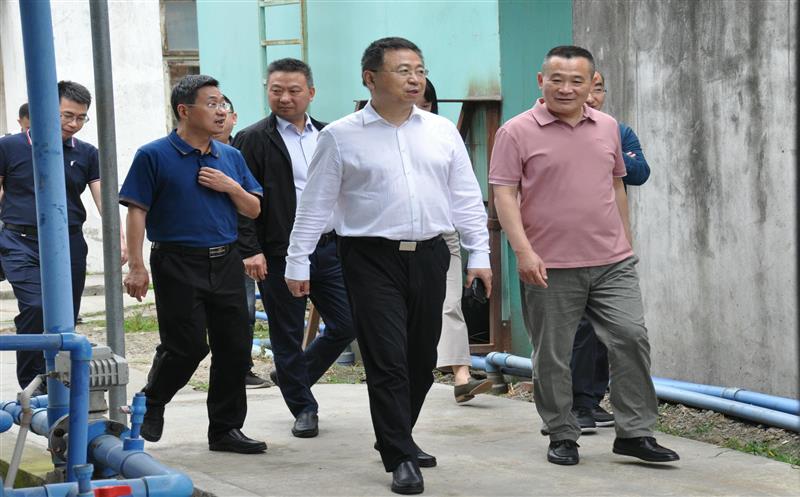 ����һ�е�̩������ҩ����