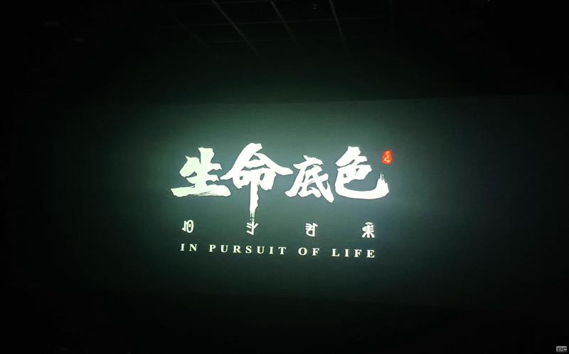 �ؿ����ʹ�˾��֯ԢĿӰϷ��������ɫ��