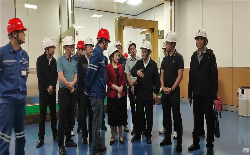 ���Ͷ�ʸ�����ѧϰ����ú̿��ҵ��������������